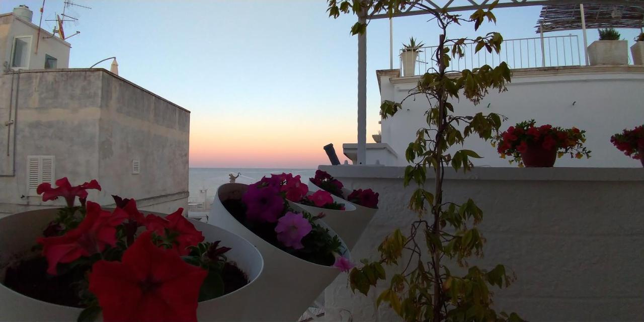 My Monopoli- Casa Dei Fiori "Orchidea" Centro Storico酒店 外观 照片