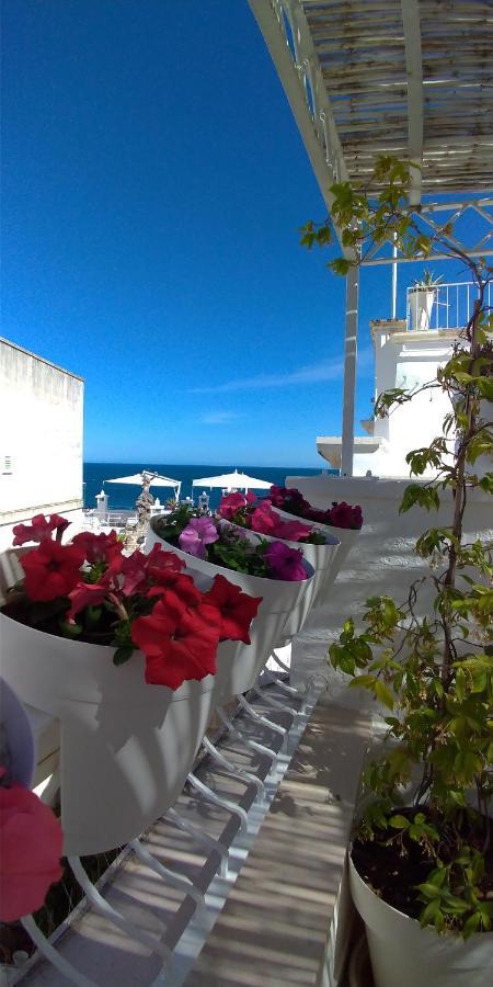 My Monopoli- Casa Dei Fiori "Orchidea" Centro Storico酒店 外观 照片